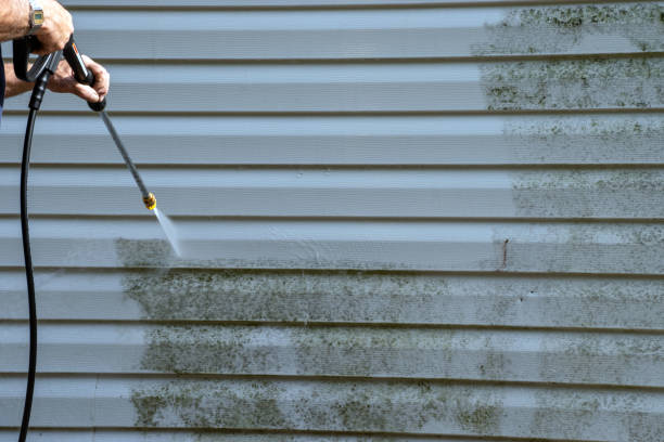 Demolition Debris Removal in Parrish, AL